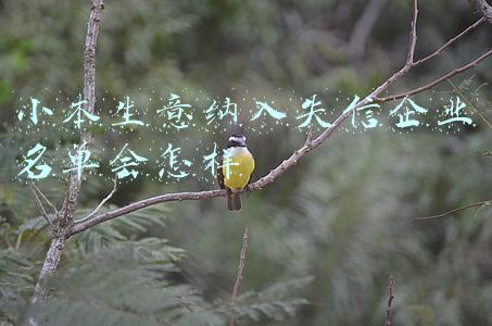 企业纳入失信名单的后果(企业被拉入黑名单会有什么影响？)