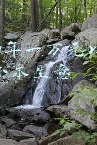 一千元以下的小本生意(1000元的投入，现在能做哪些投资小、收入稳定小生意？推荐这4种)