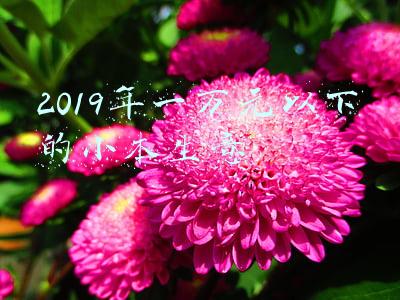 2019年一万元以下的小本生意