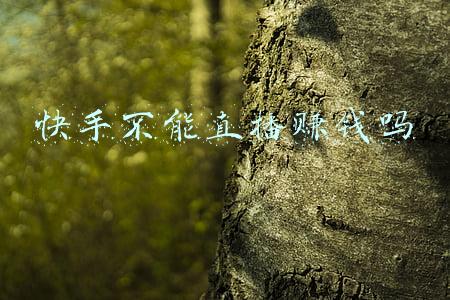 快手直播能赚钱吗是真的吗(快手诈骗陷阱泛滥，半月沈阳5人被骗12万)