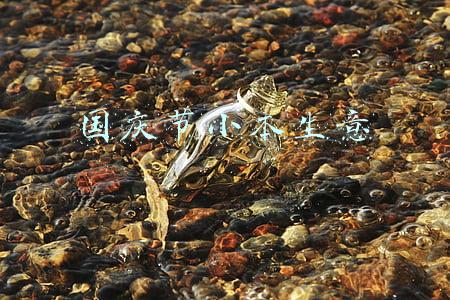 最火爆的小本生意(“易货”生意火了！郑州有店月进出货值百万元，有人用闲置厨具置换了一百多箱酒)