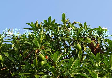 在家办厂小本生意回报