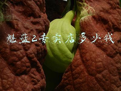 魅蓝6多少钱一部_魅蓝6多少钱