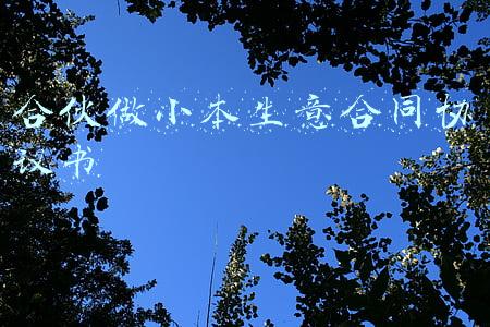 合伙做小本生意合同协议书