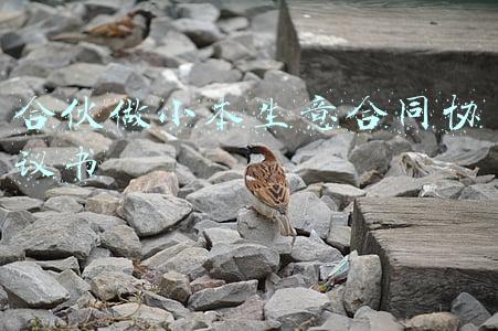 生意合伙人合作协议怎么写(合伙经营协议书「模板」)