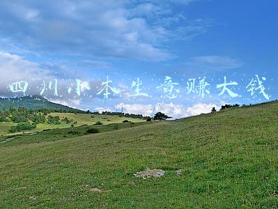 四川小本生意赚大钱