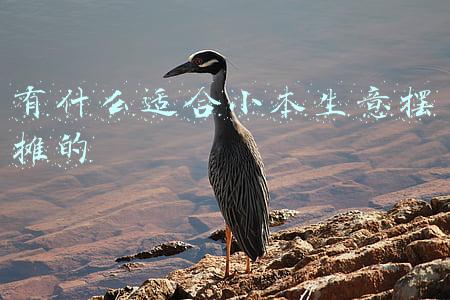 什么小生意最好做(“丑东西”，正在成为一门生意)