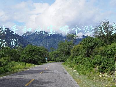 快手宝哥(“卡车司机宝哥”，现在走路都是飘的，又一个被过度消费的网红？)