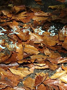 快手企业网络营销分析参考文献