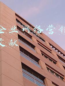 快手企业网络营销分析参考文献