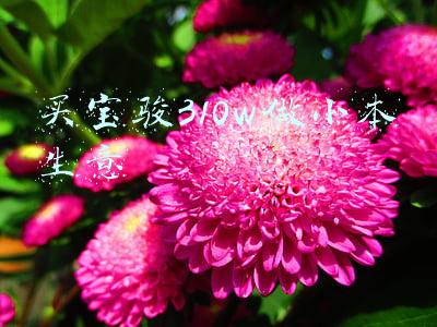 买宝骏310w做小本生意