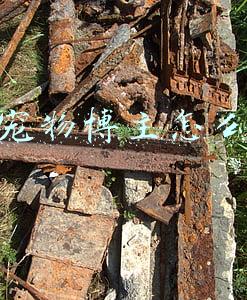 快手宠物博主怎么赚钱
