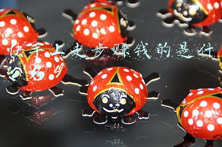 快手上走步赚钱的是什么名