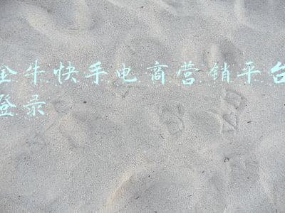 金牛快手电商营销平台登录