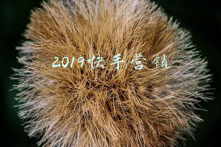 2019快乐大本营肖战王一博在线观看(肖战王一博的瓜？)