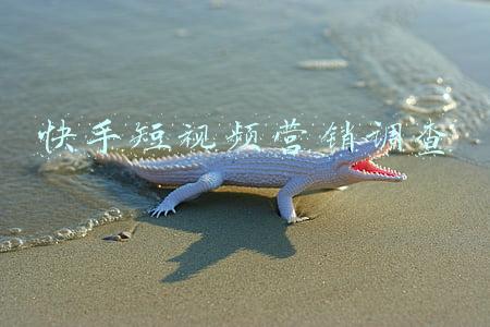 快手短视频营销调查