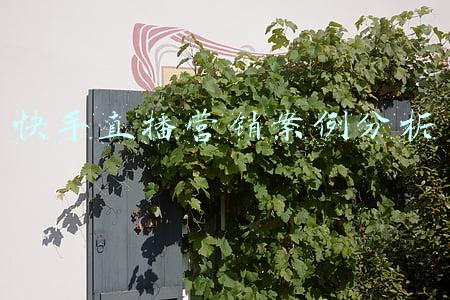 快手最成功的营销案例(2021年度营销案例盘点｜真诚，且不止于营销)