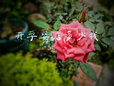 怎样开一家孕婴店《怎样开一家孕婴店流程》