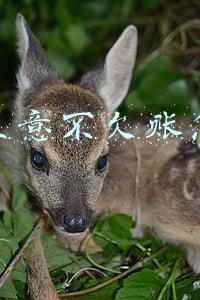 小本生意 概不赊账(做生意为什么不能赊账，一张图告诉你真相（建议收藏）)