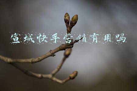 快手商家号影响热门(快手增速下滑视频号悄然反超，短视频进入三国杀)