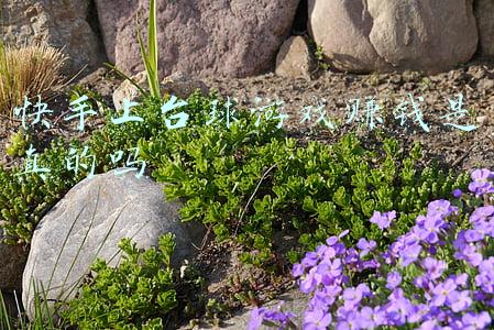 快手上台球游戏赚钱是真的吗