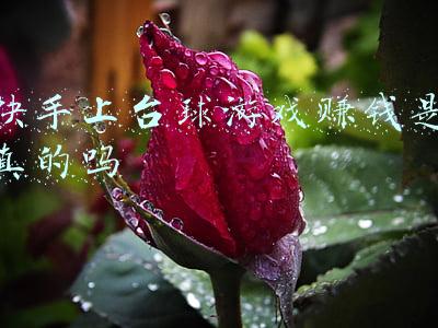 快手上台球游戏赚钱是真的吗