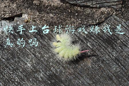 快手上台球游戏赚钱是真的吗