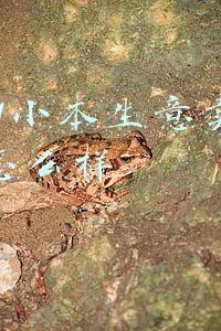 2021小本生意卖水果怎么样