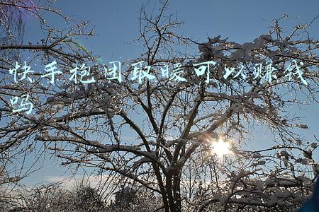 快手抱团取暖可以赚钱吗