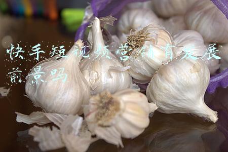 快手短视频营销有发展前景吗