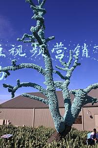 快手短视频营销有发展前景吗