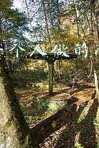 女孩子想做点小本生意(女生也能月入2W的4个新型小生意，看看有你适合的么？)