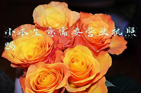 开小店需要营业执照吗需要什么证件(开便利店需要办理哪些证件？)