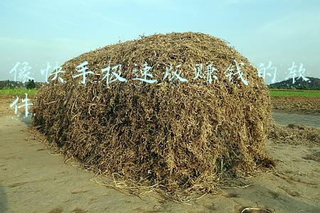 像快手极速版赚钱的软件