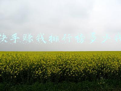 2021快手主播排行榜(全国政法系统快手号2021年12月排行榜重磅发布！)