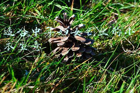 适合女性创业的小本生意(女人做什么小生意好？适合女人容易赚钱的机会)