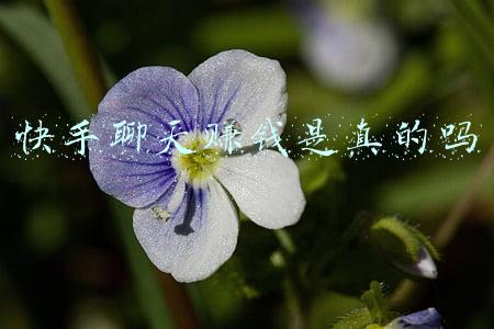 快手聊天赚钱是真的吗
