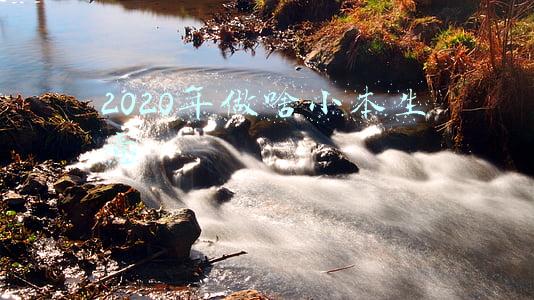 2020年做啥小本生意