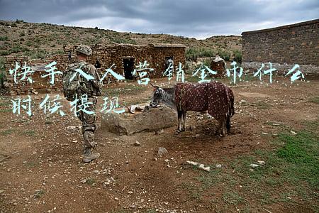 快手人人营销金币什么时候提现