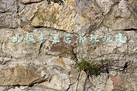 出租车营运范围新规定(最新措施！即日起，杨凌巡游出租车不得出辖区运营)