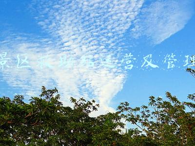 景区救助站运营及管理