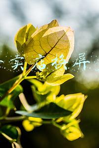 苹果专卖店换电池多少钱-苹果店换电池多少钱