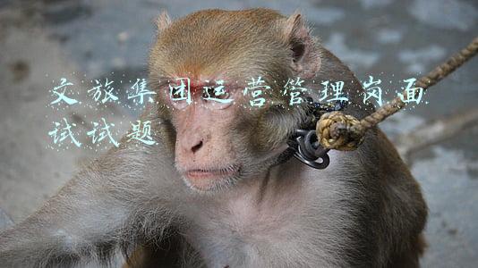 文旅集团笔试内容及答案(山西文旅集团2019校园招聘笔试公告)