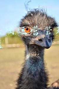 文旅集团运营管理岗面试试题