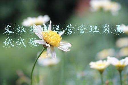文旅集团运营管理岗面试试题