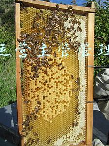 商场运营主管管理工作重点