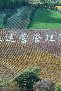 商业运营面试问题(运营在面试中，需要做哪些准备？)