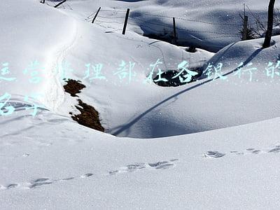 银行的运营管理部是干什么的(兴业银行西宁分行：加快形成数字化金融新模式)