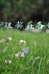 中国银行的分行名称是什么(世界上最小的国家银行：中华苏维埃共和国国家银行丨党史中的经济档案)