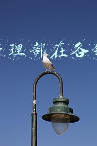 运营管理部在各银行的名字